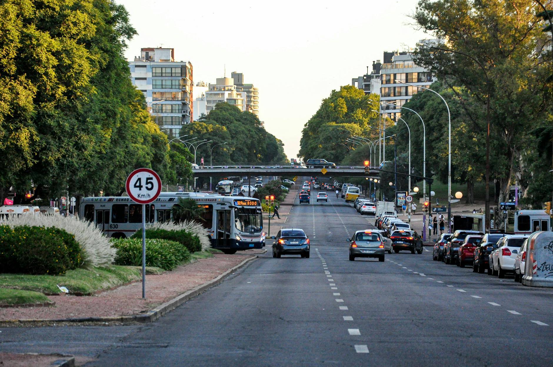 State DOT says signs in the right-of-way are illegal