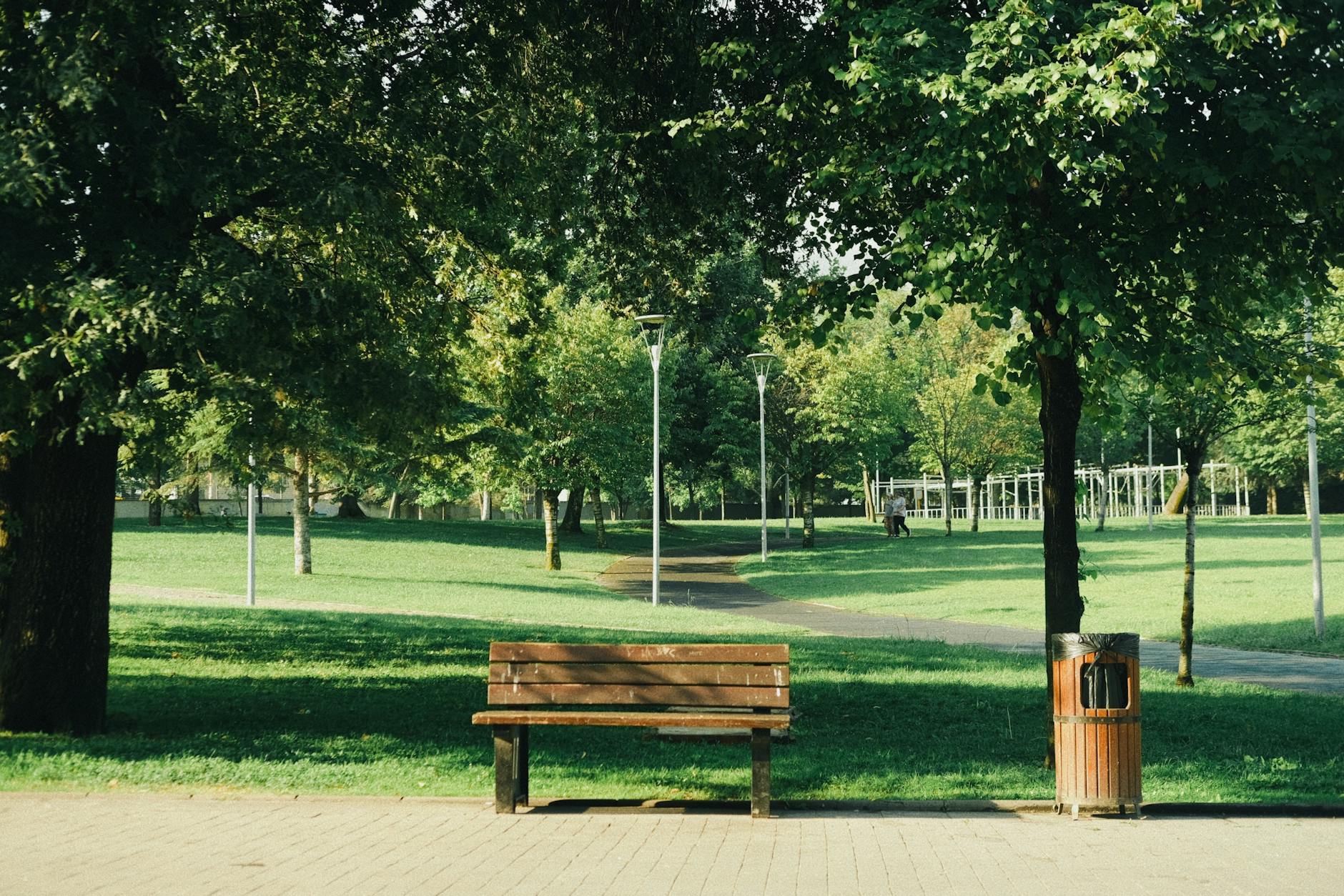 bench in the park