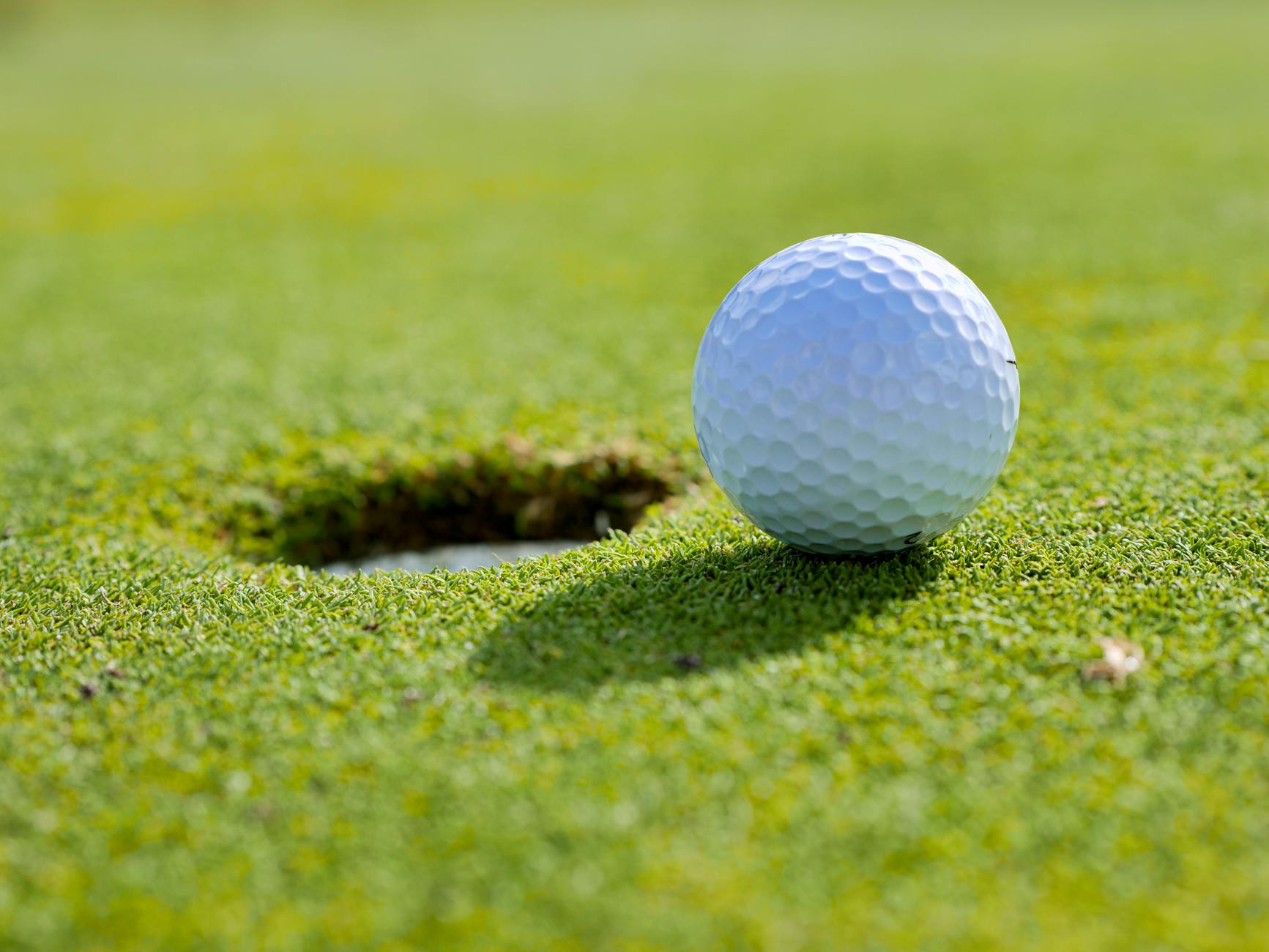 Bulldog girls take 4th in West Central, host their own golf invite this Thursday