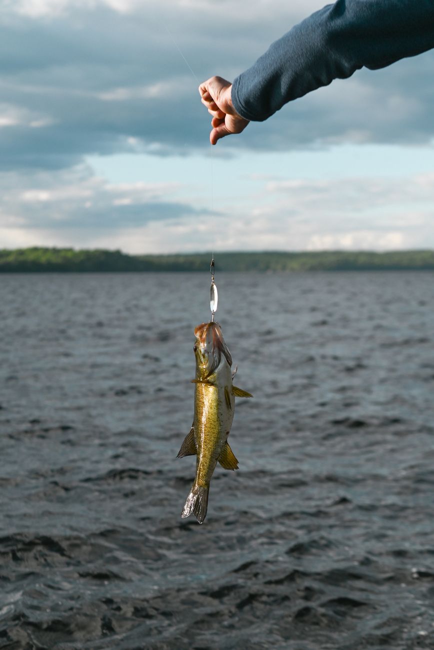 GF&P Tagged Fish Program at Lake Herman pond this summer