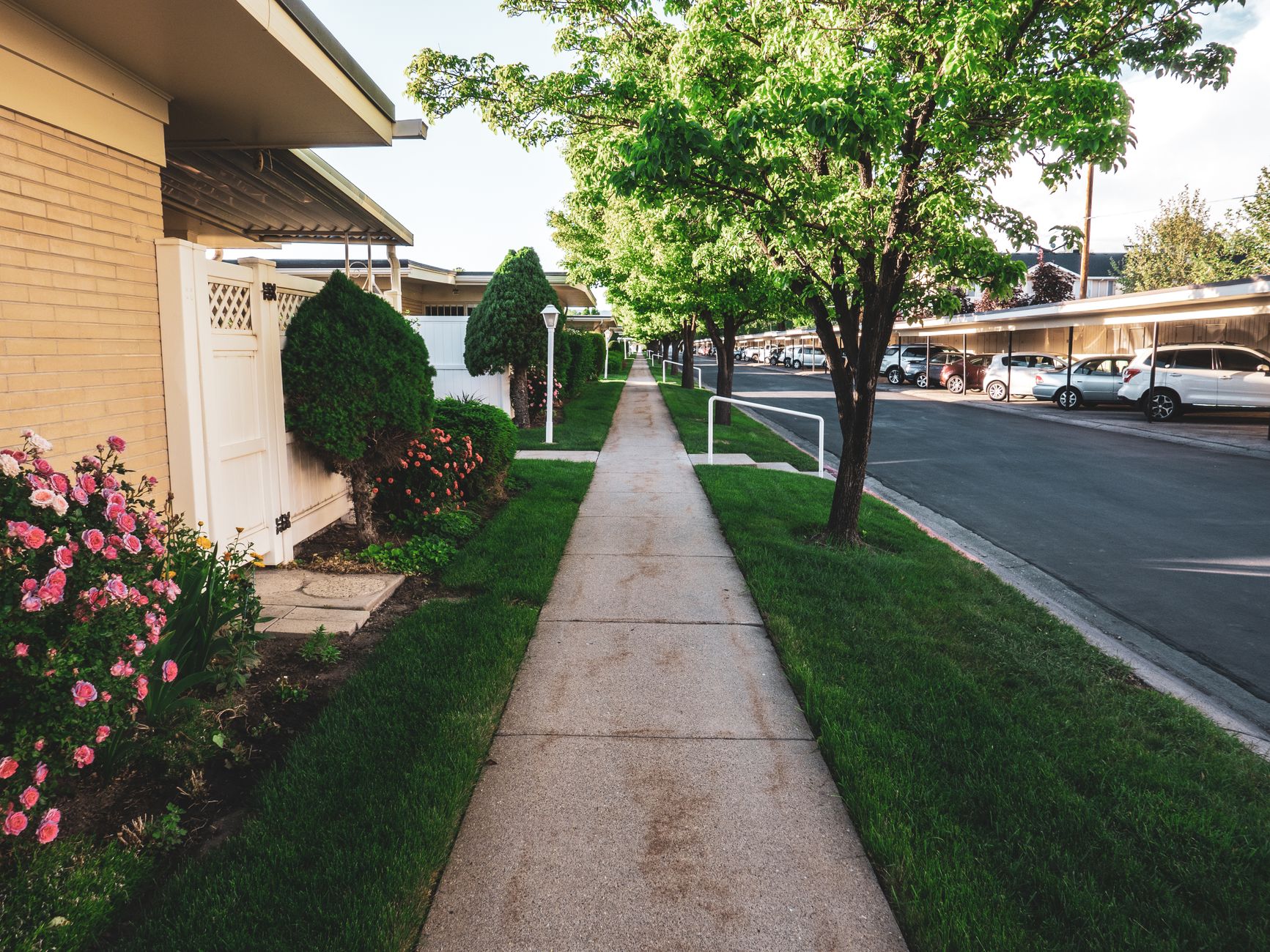 Madison Seeks Volunteers for Sidewalk Committee