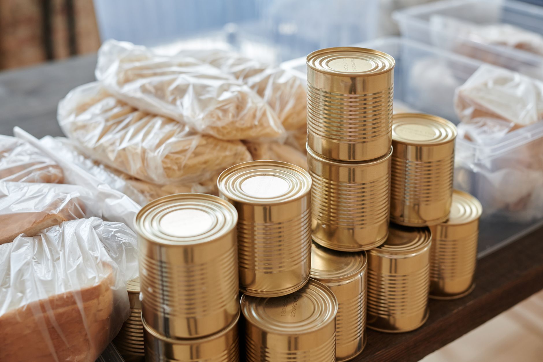 Troop 5 Collecting Food for Lake County Food Pantry